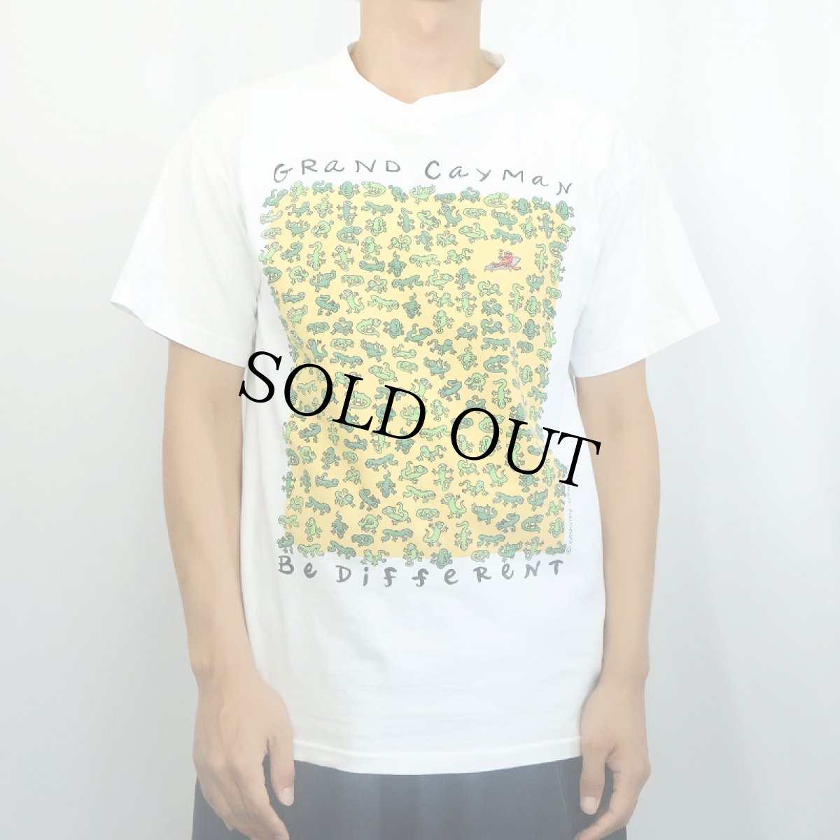 画像2: 90's GRAVITY GRAPHICS USA製 "GRAND CAYMAN" プリントTシャツ M (2)