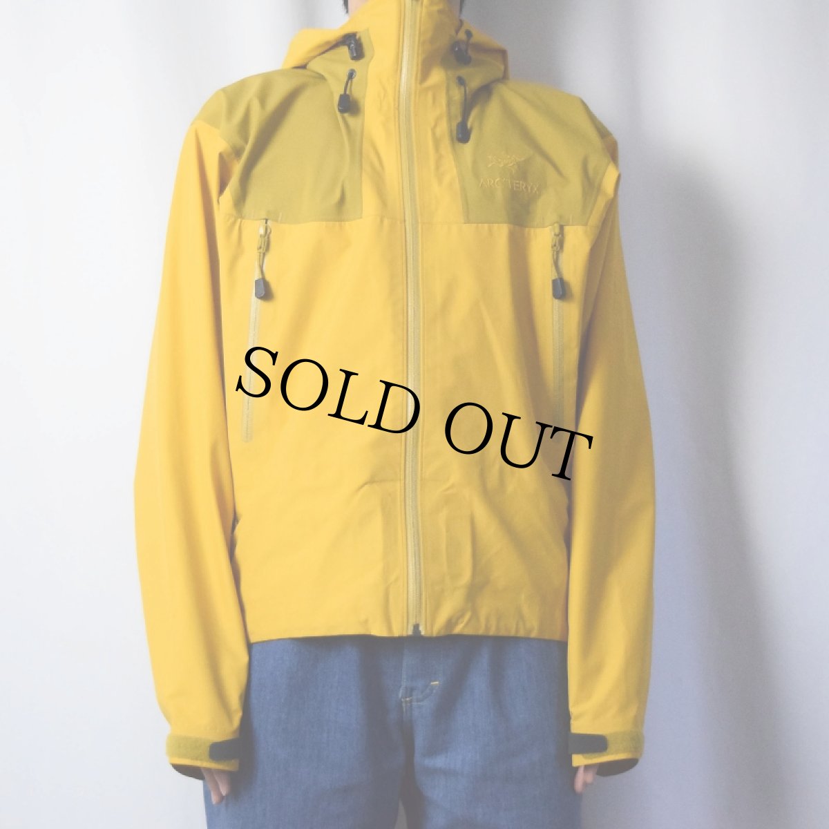 画像2: ARC'TERYX  ALPHA AR GORE-TEX XCR ジャケット M (2)