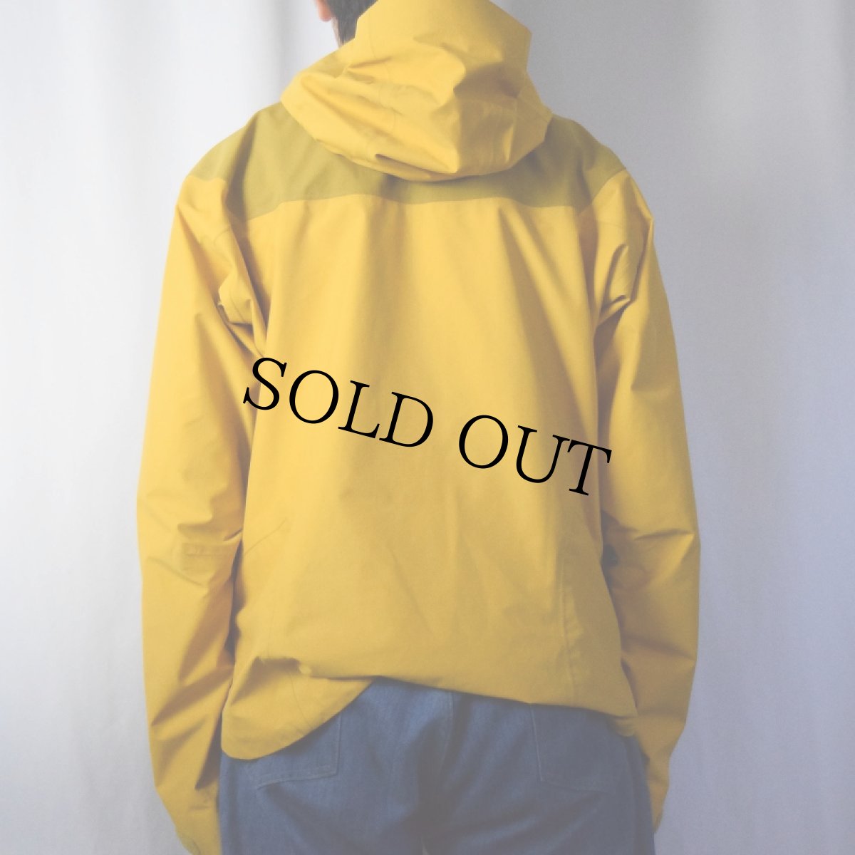 画像3: ARC'TERYX  ALPHA AR GORE-TEX XCR ジャケット M (3)