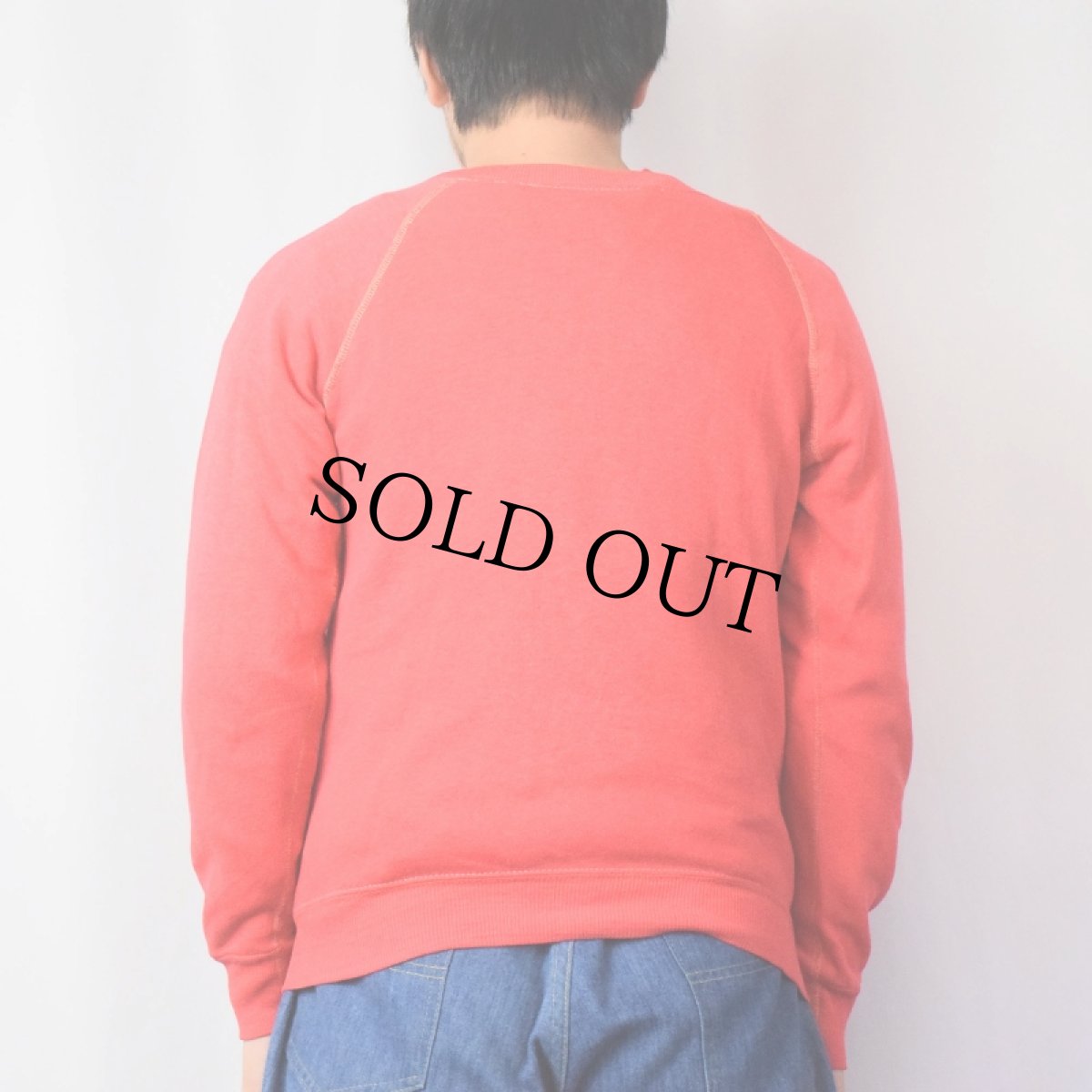 画像3: 70's collegiate pacific "LMU" フロッキープリントラグランスウェット PINK (3)