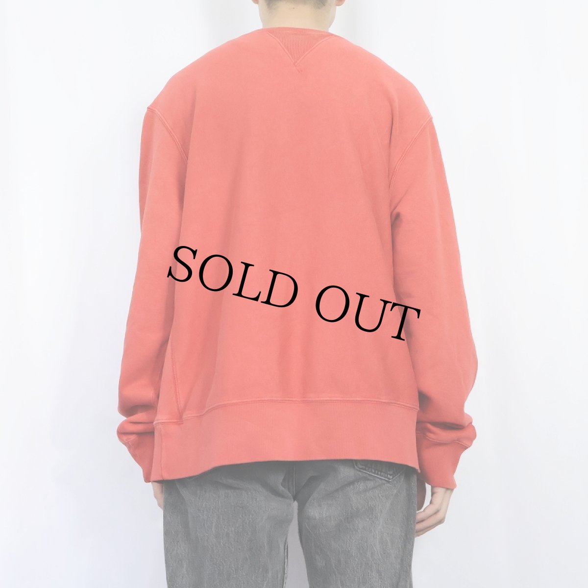 画像3: POLO Ralph Lauren "CAMP RIVER OINES" インディアンヘッド 両V フロッキープリントスウェット XXL (3)