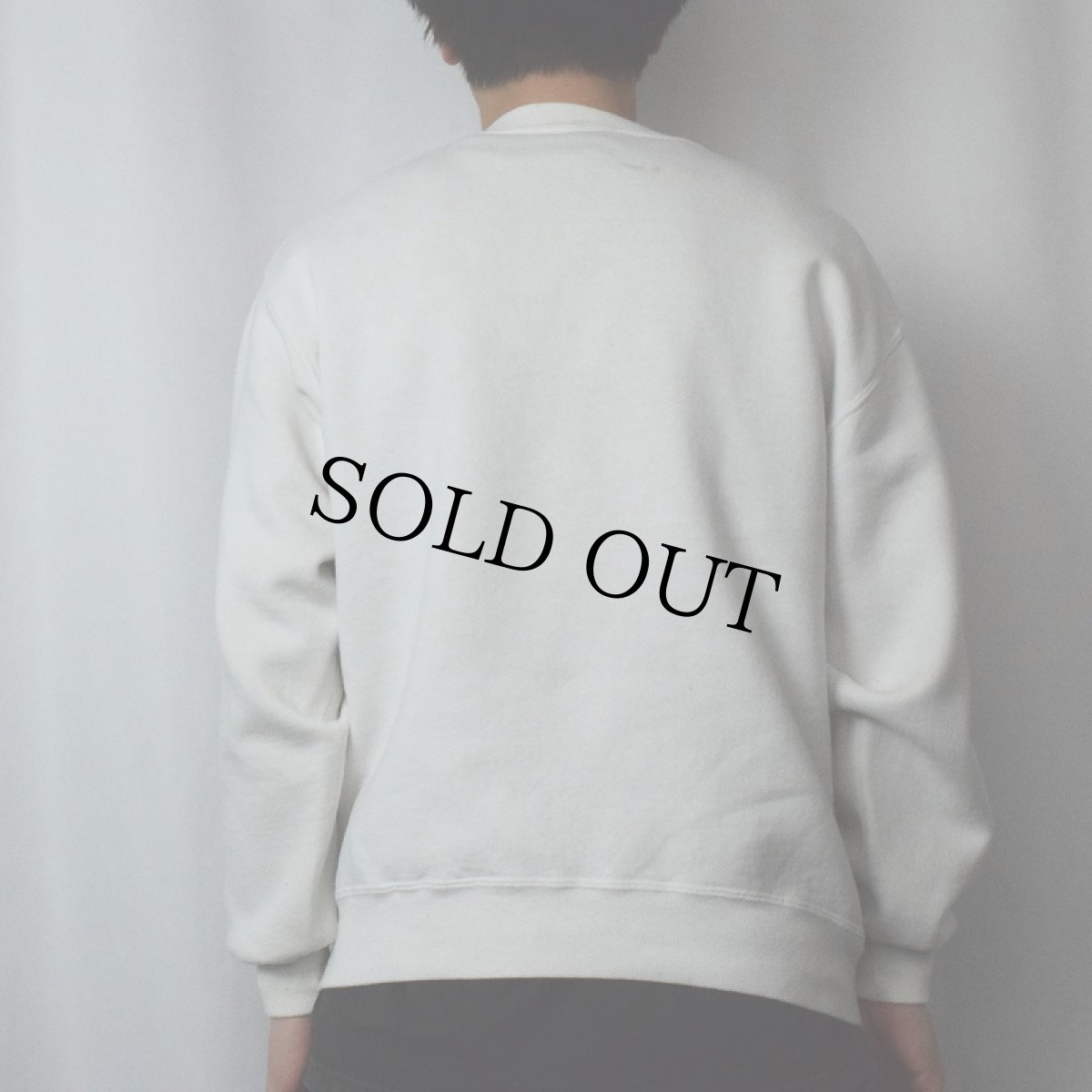 画像3: 90's RUSSEL ATHELETIC USA製 前V "UNIVERSITY OREGON" キャラクタープリントスウェット L (3)