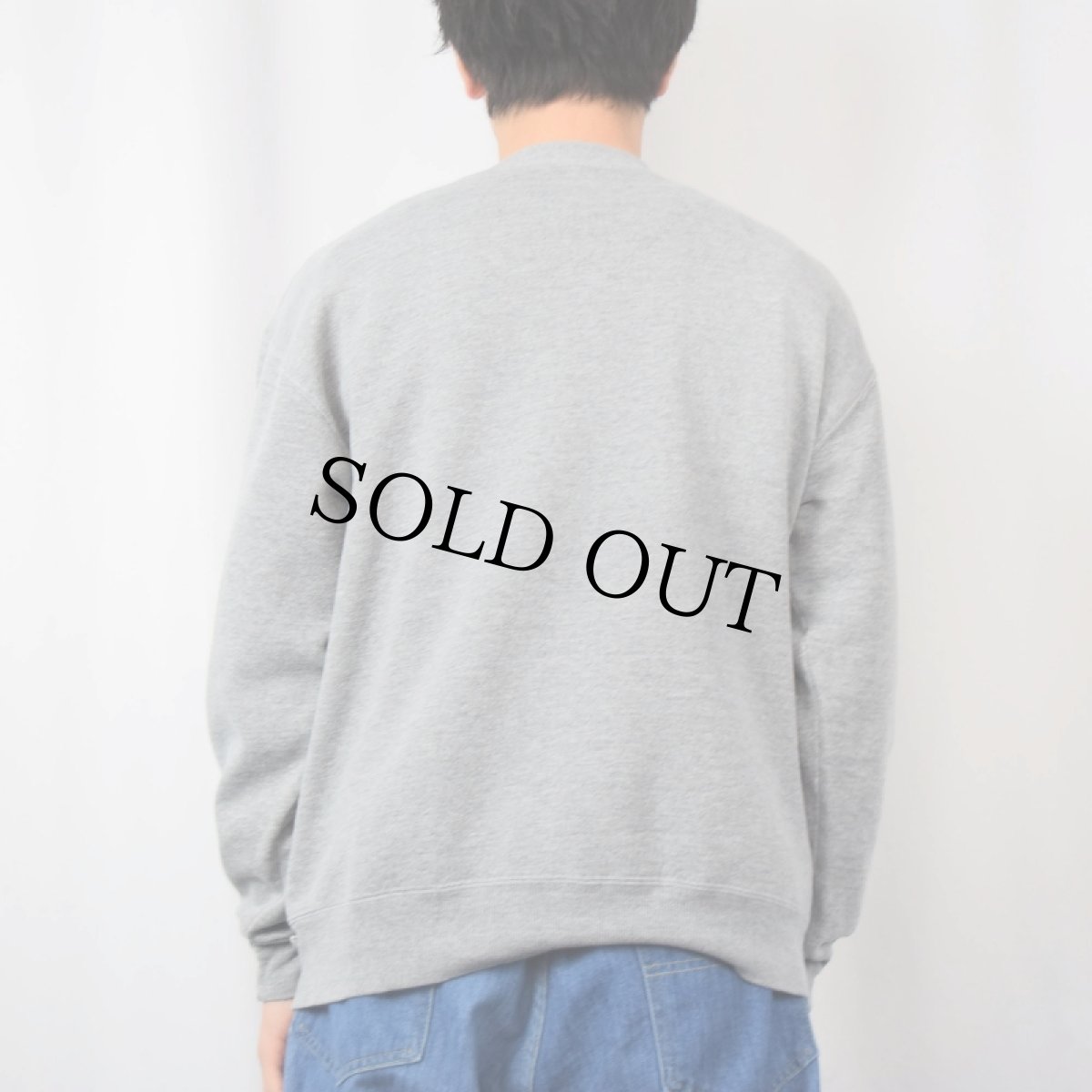 画像3: 90's RUSSEL ATHELETIC USA製 "MICHIGAN STATE SPARTANS" プリントスウェット L (3)