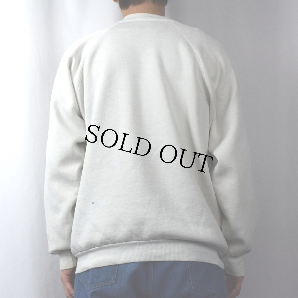 画像3: 80's USA製 フォトプリント ラグランスウェット XL (3)