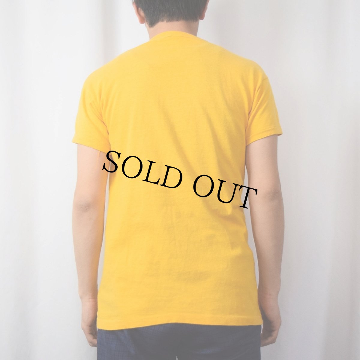 画像3: 60's Russell Southern USA製 "AKOWIE" フロッキープリントTシャツ L (3)