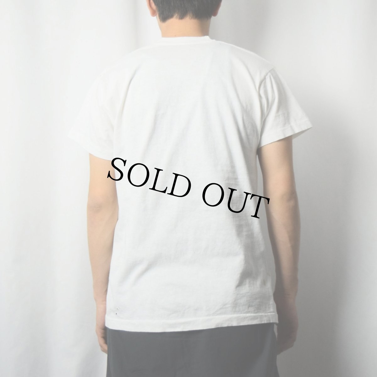 画像3: 80's STAR WARS "THE EMPIRE STRIKES BACK" Vネック 映画プリントTシャツ (3)