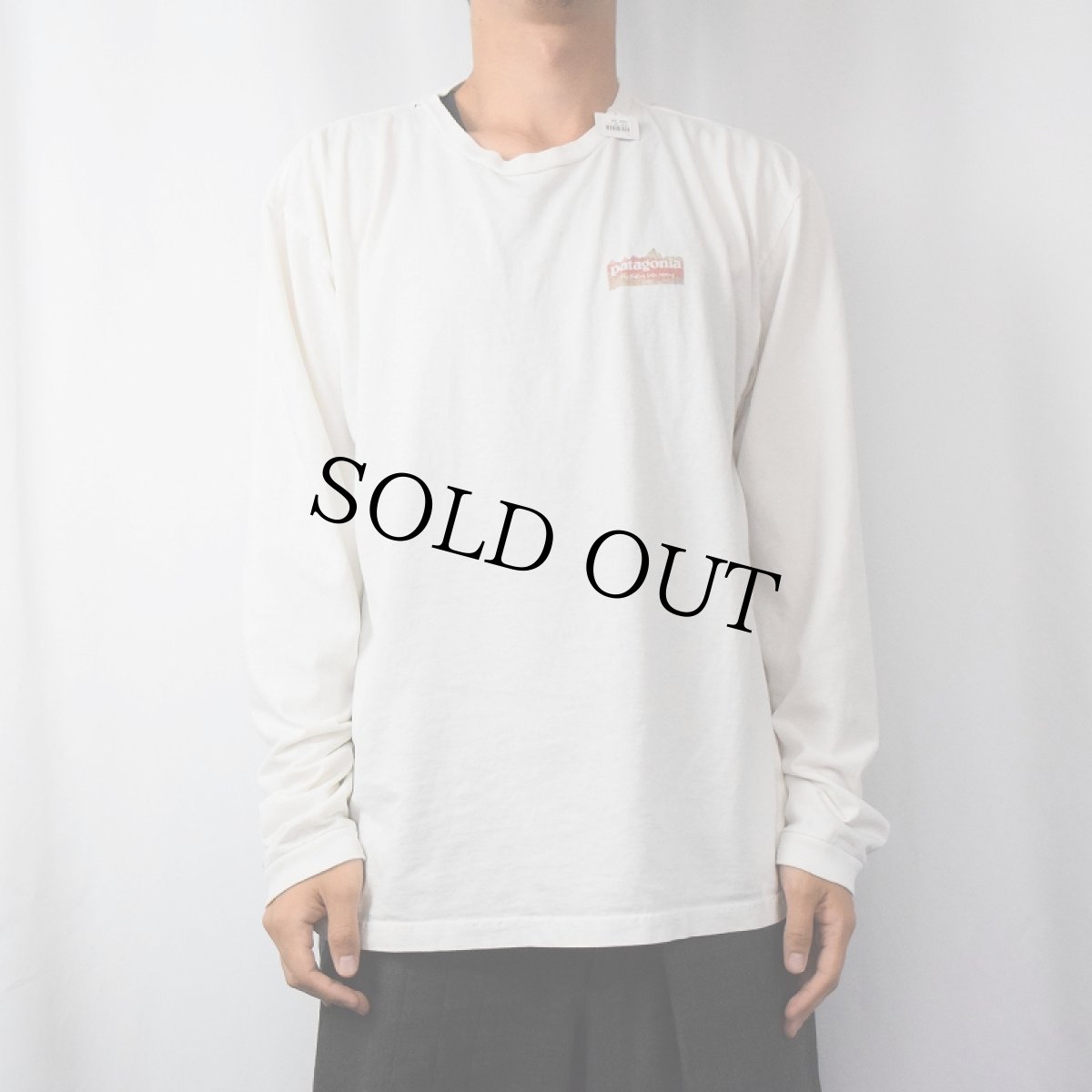 画像3: 2000's Patagonia "Fly Fishing Sales Meeting 2005" フォトプリントロンT L (3)