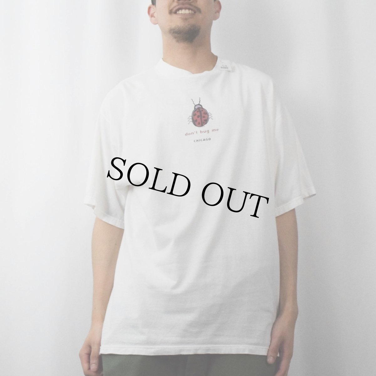 画像2: 90〜2000's "don't bug me CHICAGO" てんとう虫イラストプリントTシャツ XL (2)