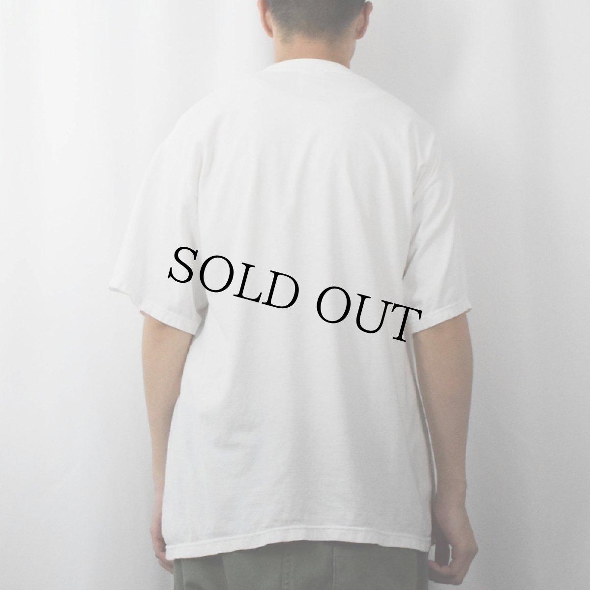 画像3: 90〜2000's "don't bug me CHICAGO" てんとう虫イラストプリントTシャツ XL (3)