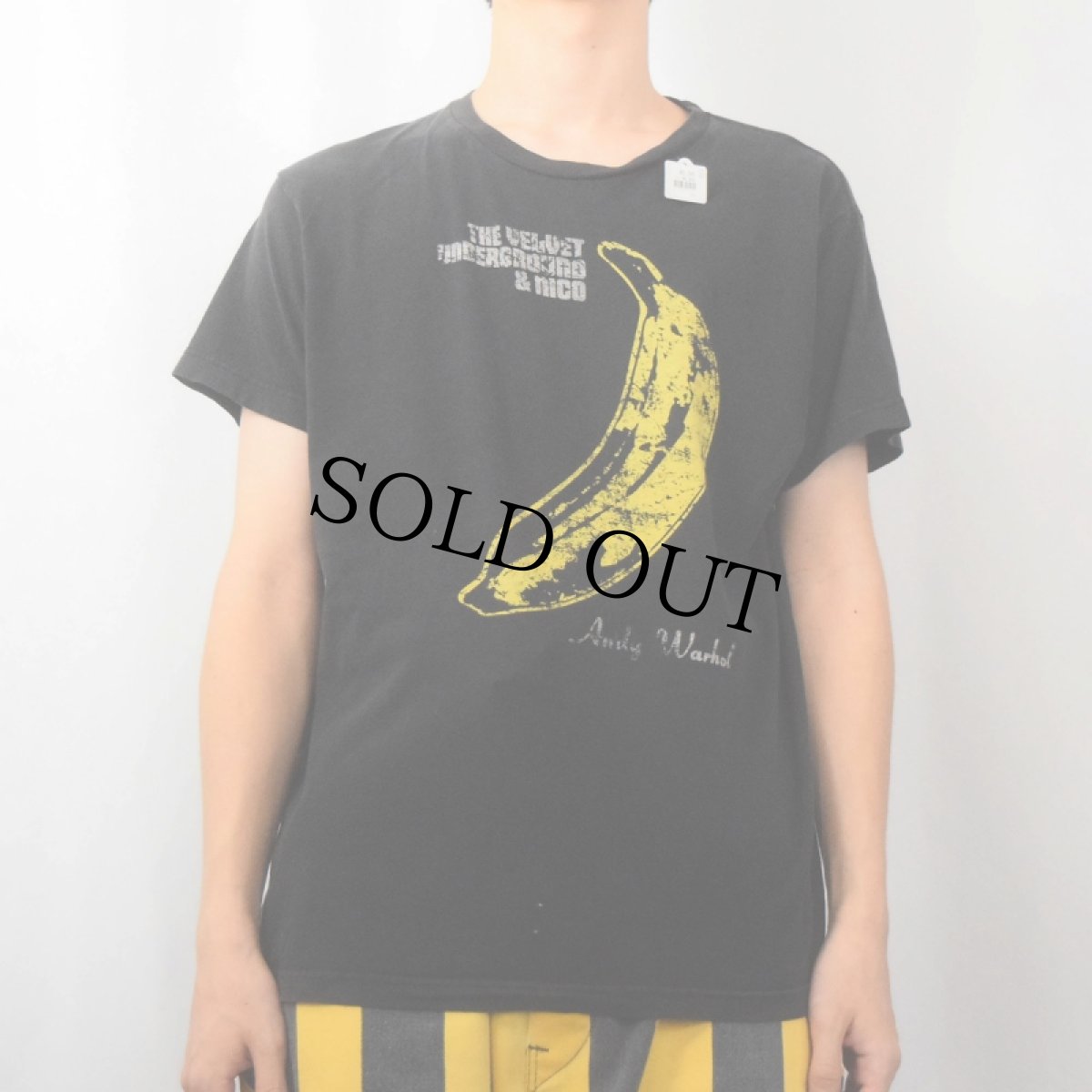 画像2: THE VELVET UNDERGROUND & NICO ロックバンドTシャツ BLACK (2)