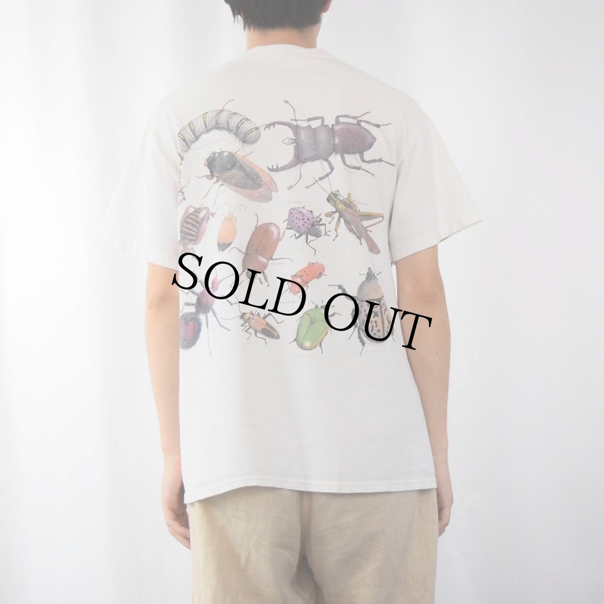 画像4: 90's Wild Cotton Jay Jausheski "Insect" 昆虫プリントTシャツ M (4)