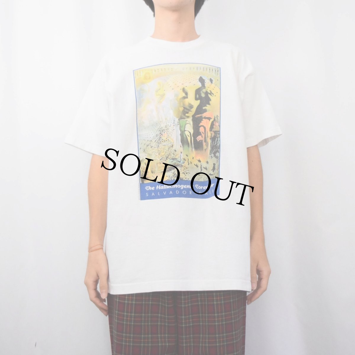 画像2: 90's Salvador Dali "The Hallucinogenic Toreador" アートプリントTシャツ XL (2)