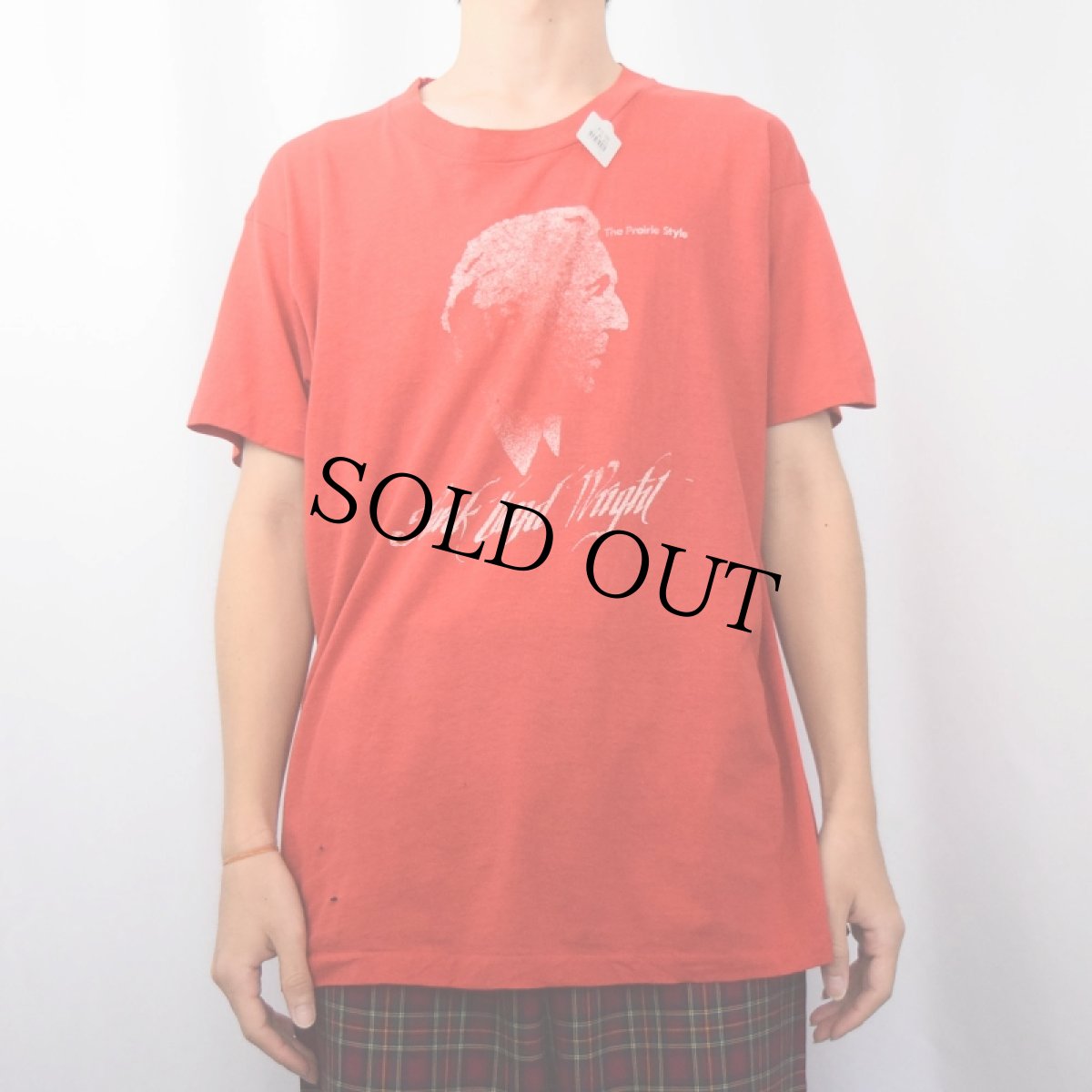 画像2: 80's Frank Lloyd Wright "The Prairie Style" 建築家プリントTシャツ XL (2)