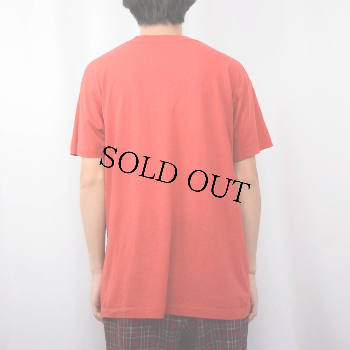 画像3: 80's Frank Lloyd Wright "The Prairie Style" 建築家プリントTシャツ XL (3)