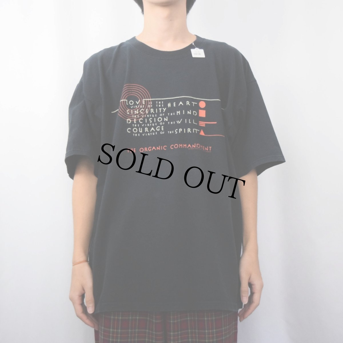 画像3: Frank Lloyd Wright "THE ORGANIC COMMANDMENT" 建築家アートプリントTシャツ BLACK XL (3)