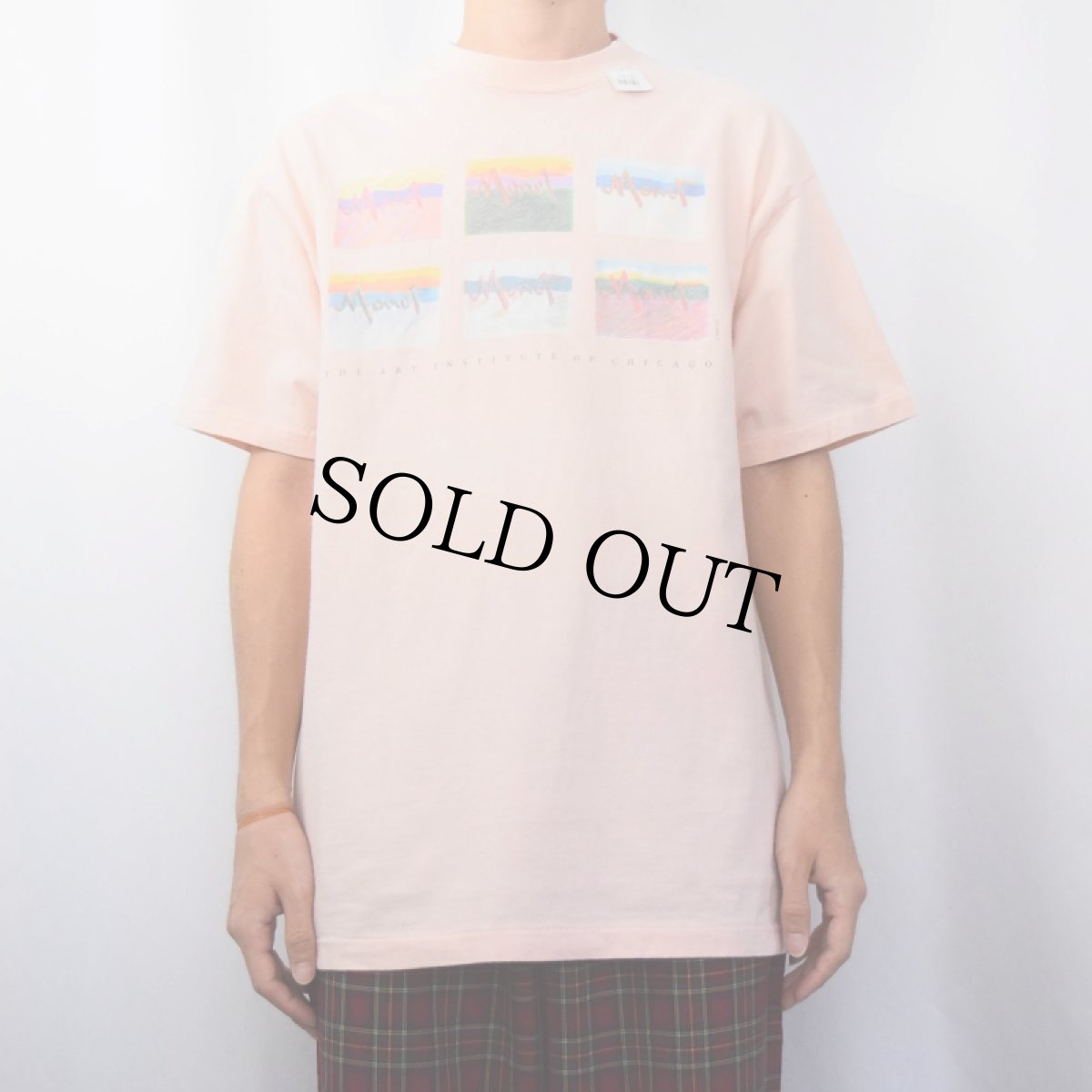 画像2: 90's Claude Monet by AIC アートプリントTシャツ L (2)