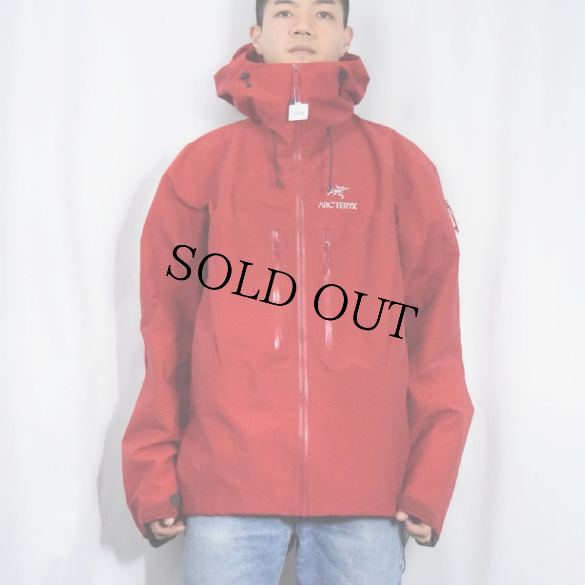 画像3: ARC'TERYX Alpha AR GORE-TEX ジャケット XL (3)