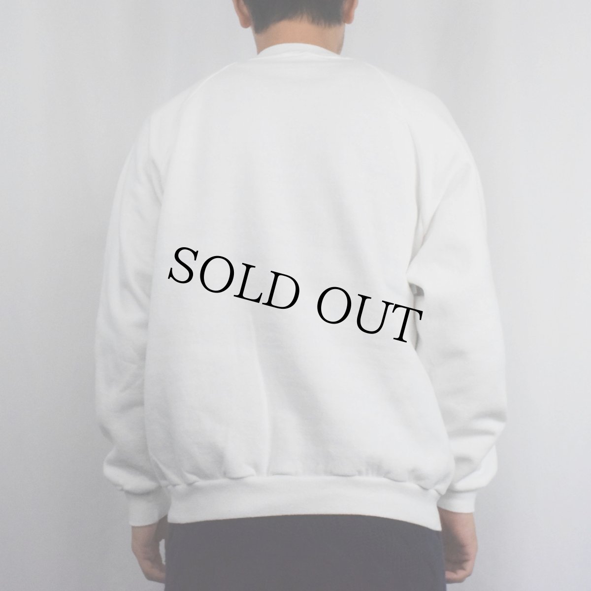 画像3: 80's Graphic Adventures USA製 イラストプリントラグランスウェット L (3)