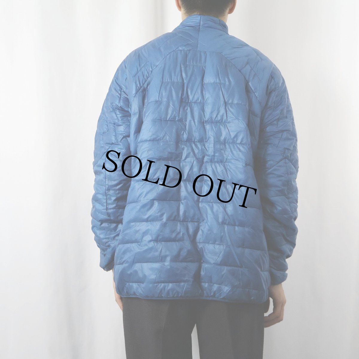 画像3: 2019SP Patagonia マイクロパフジャケット XL (3)