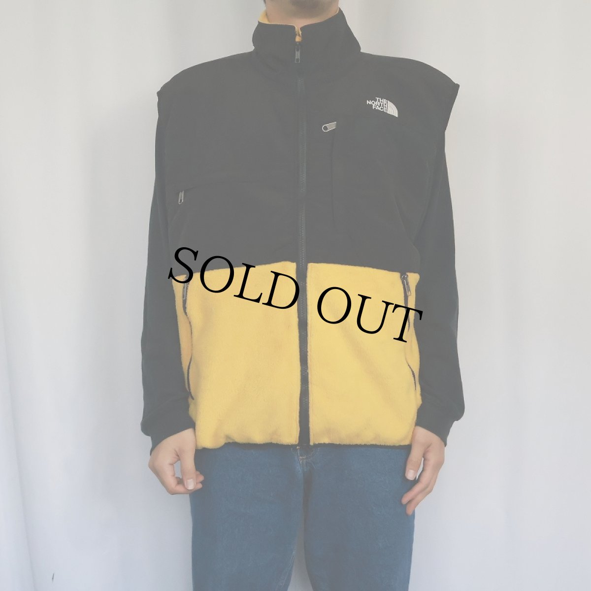 画像2: THE NORTH FACE デナリフリースベスト L (2)