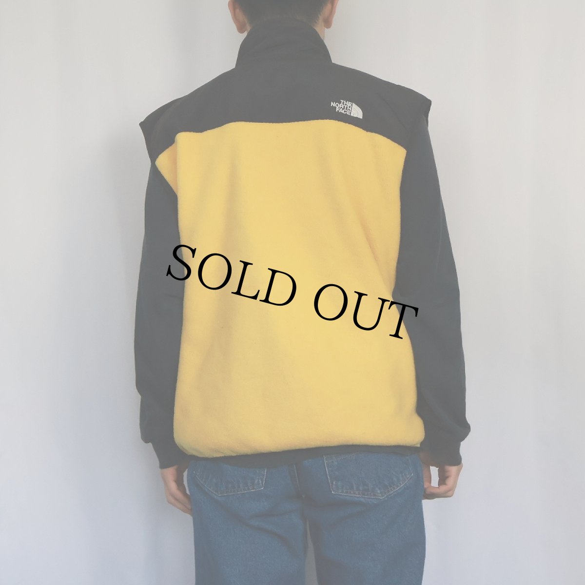 画像3: THE NORTH FACE デナリフリースベスト L (3)