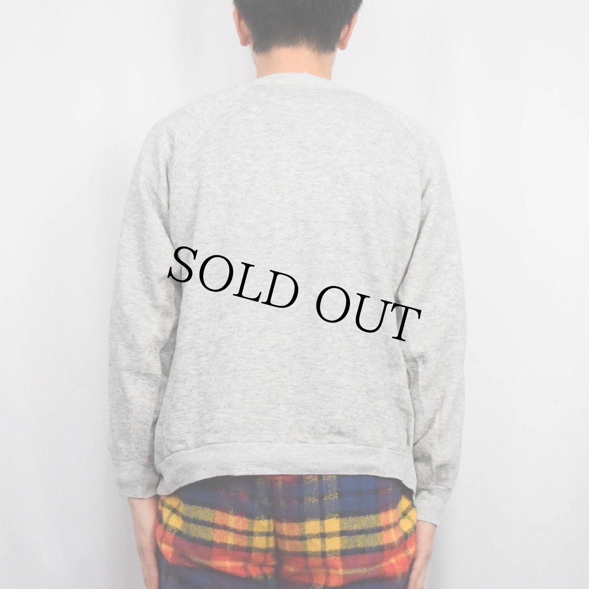 画像3: 70〜80’s "IOWA" フロッキープリントラグランスウェット (3)