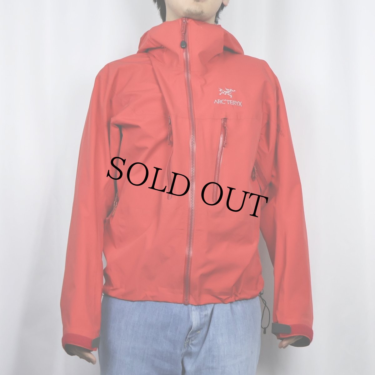 画像2: ARC'TERYX "Alpha LT" GORE-TEX? Pro Shell Jacket S (2)