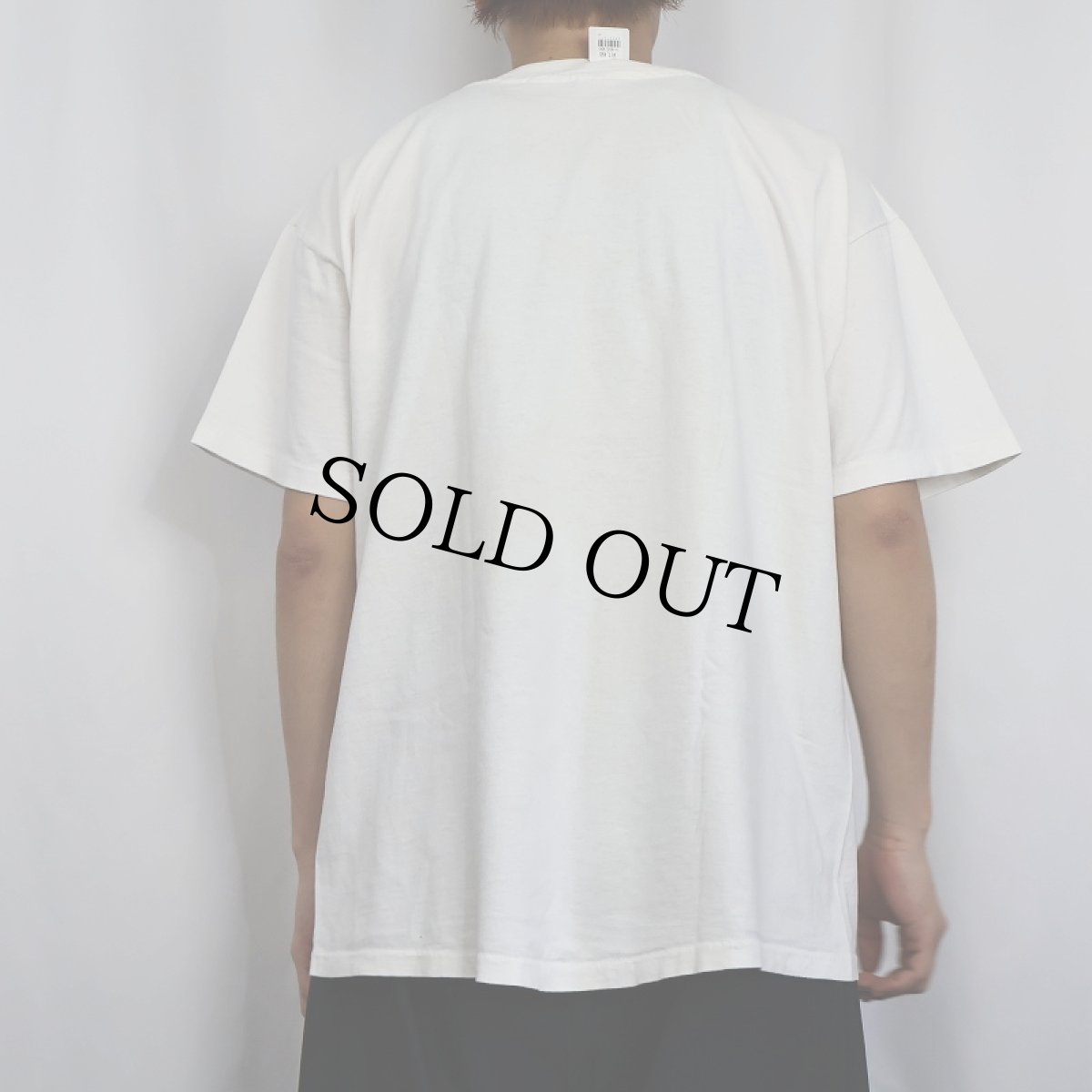 画像3: 90's MARVEL HULK USA製 アメコミプリントTシャツ XL (3)