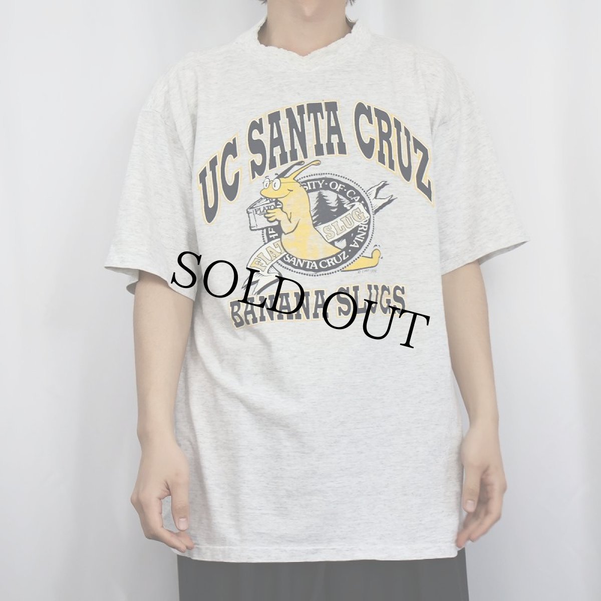 画像2: 90's "UC SANTA CRUZ BANANA SLUGS" USA製 プリントTシャツ XL (2)