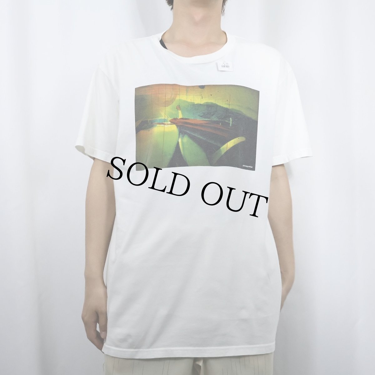 画像2: 2000's Patagonia イラストプリントTシャツ XL (2)