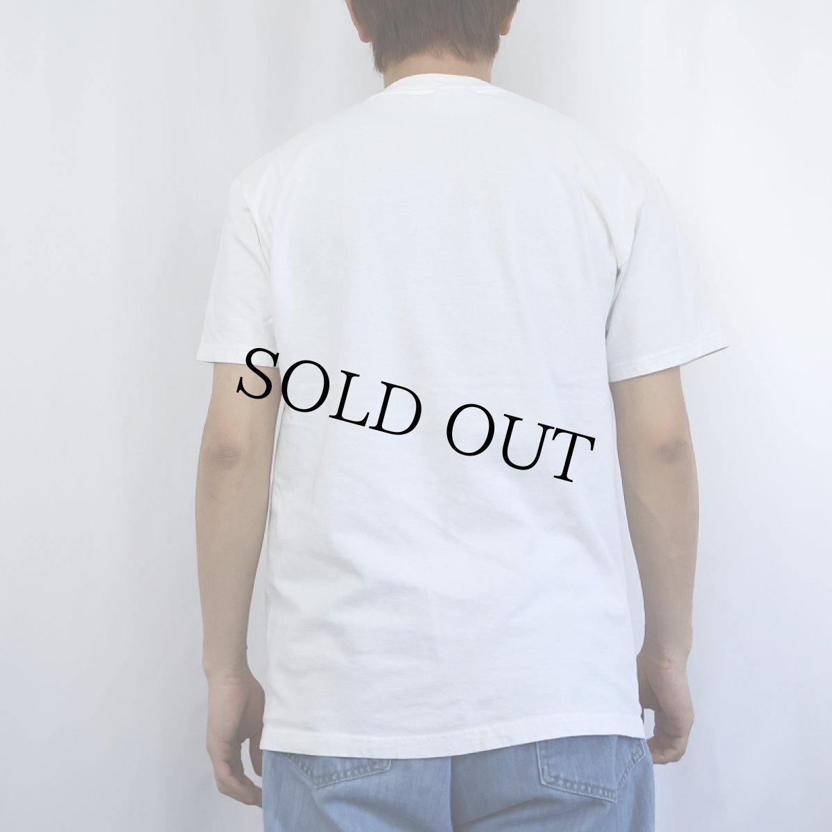 画像3: "MOUNT DORA ARTS FESTIVAL" アートプリントTシャツ M (3)