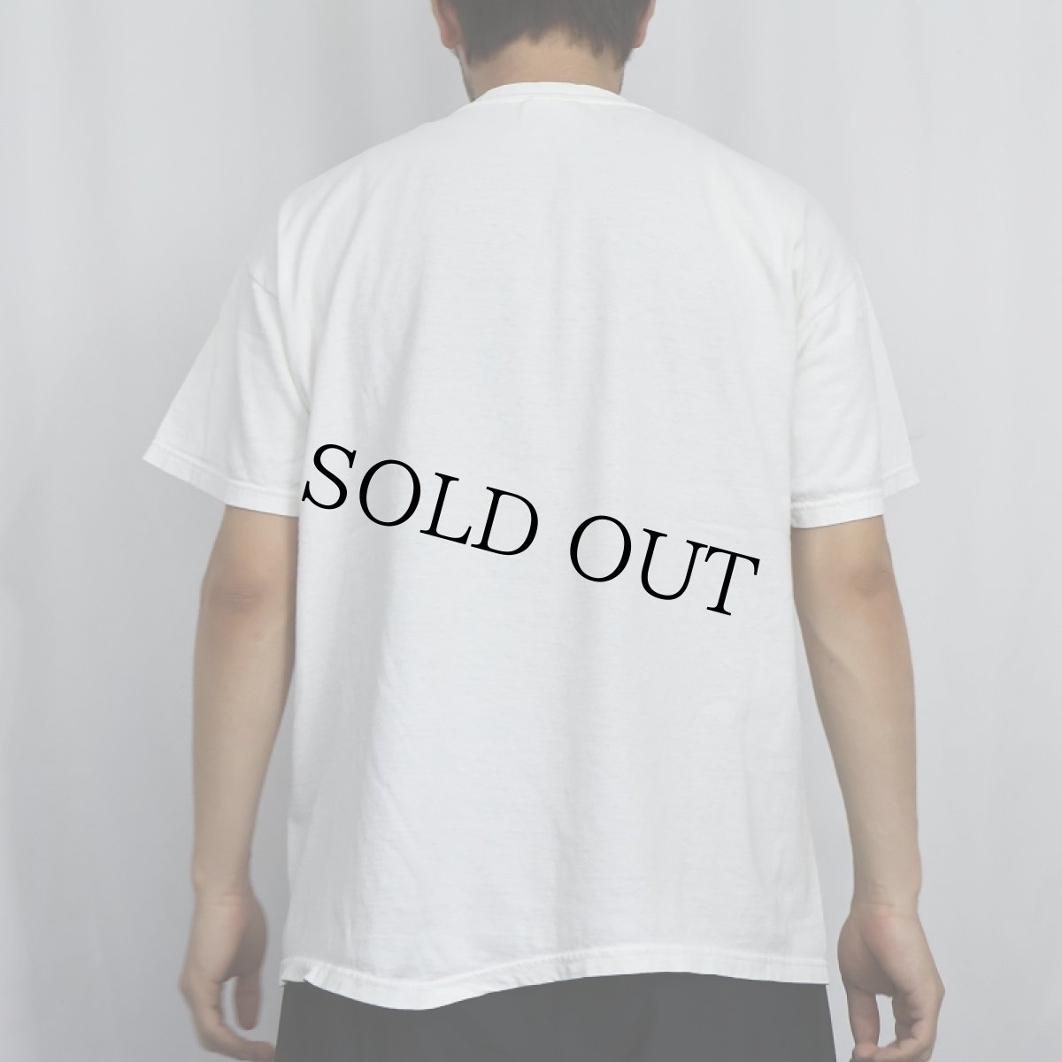 画像3: Dexter's Laboratory "This is a great day for SCIENCE at CAMP DUDLEY" キャラクタープリントTシャツ L (3)