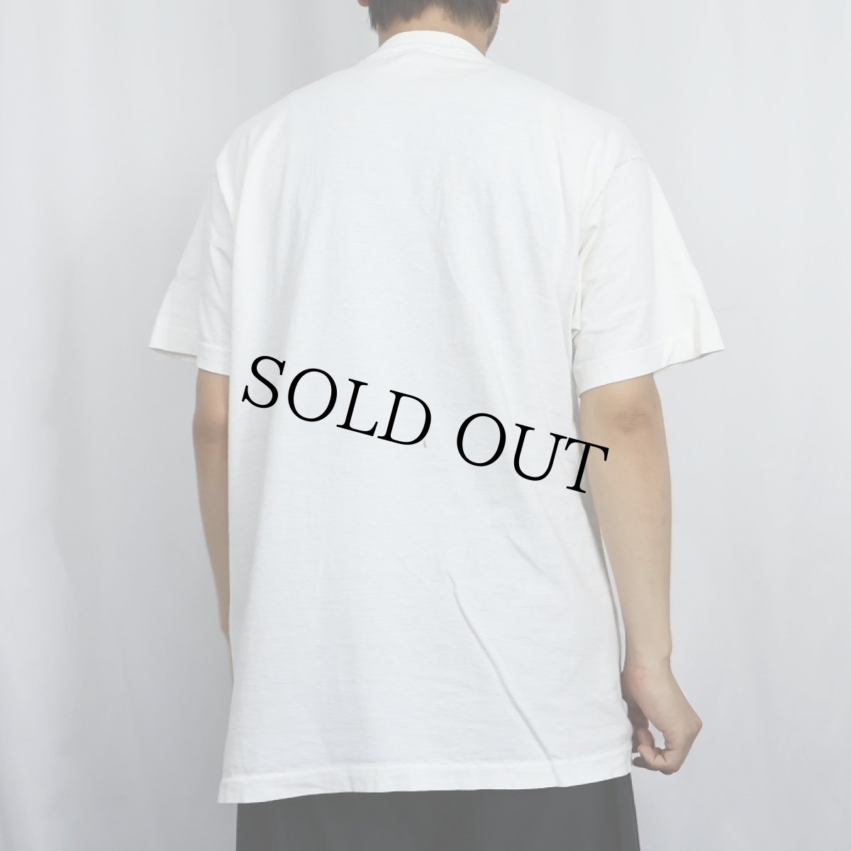 画像3: 90's USA製 "HOUSTON PRESS" フォトプリントTシャツ XL (3)