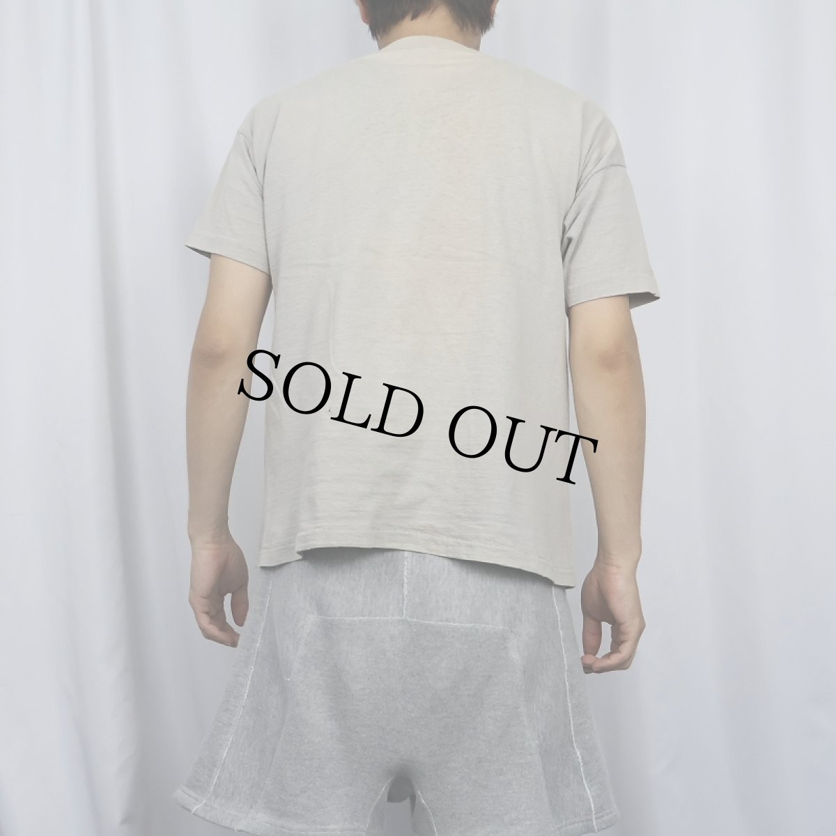 画像3: 60's Champion C中ランタグ "LEE-DAVIS" フロッキープリントTシャツ L (3)