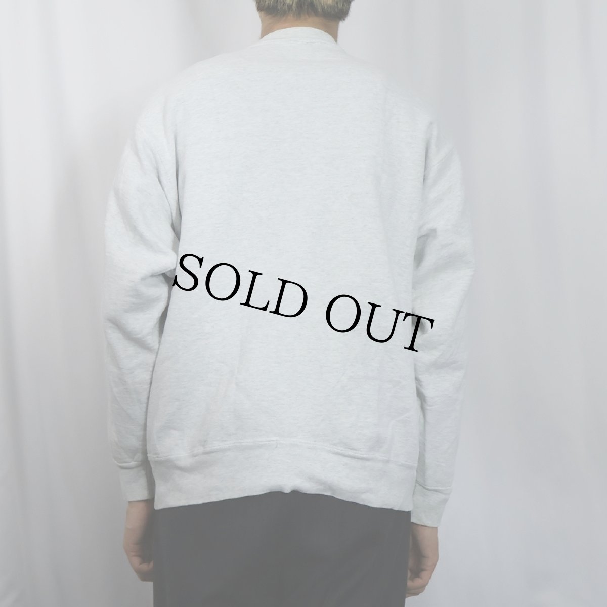 画像3: 90's FRUIT OF THE LOOM USA製 "WASHINGTON DC" プリントスウェット L (3)