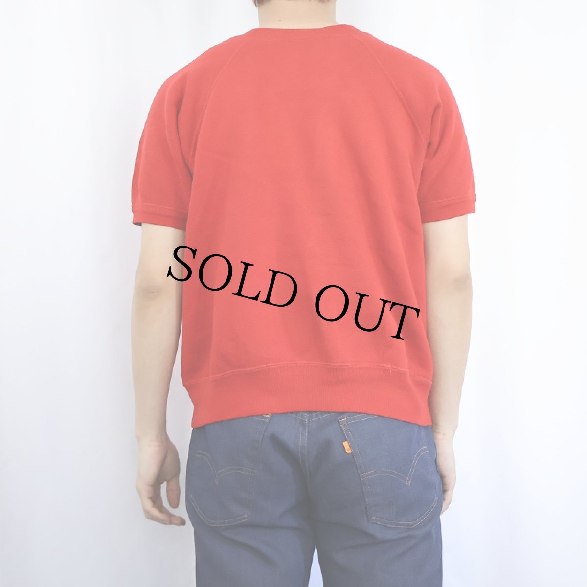 画像3: 60's〜 "GRATZ" フロッキープリント半袖ラグランスウェット (3)