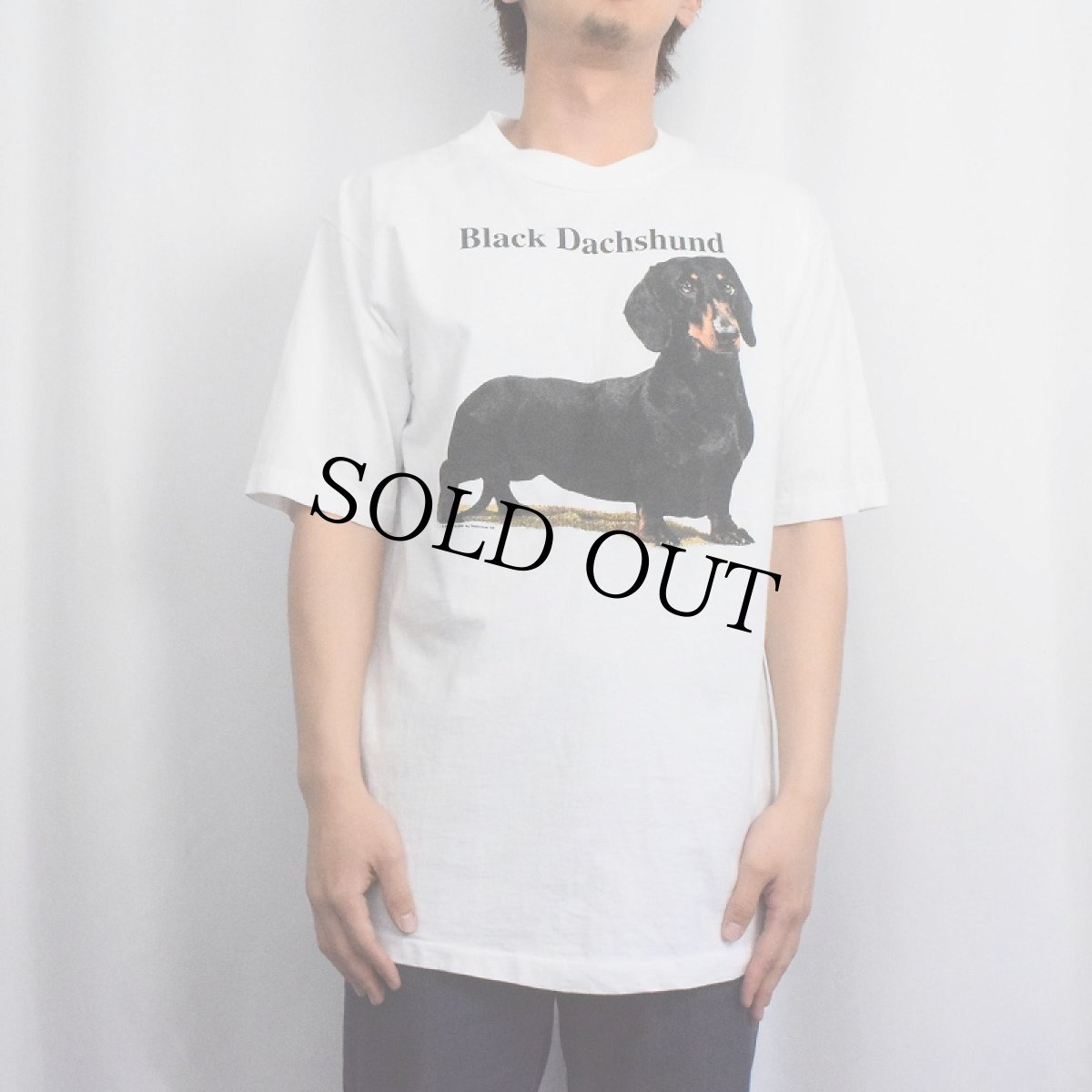 画像2: 90's USA製 "Black Dachshund" 犬プリントTシャツ L (2)