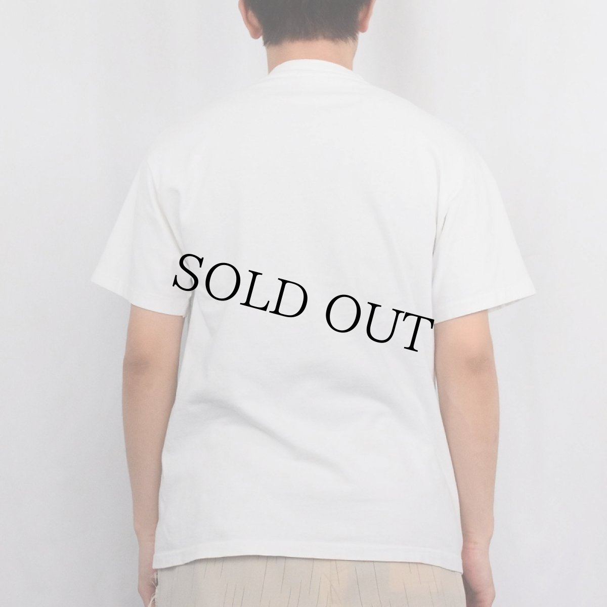 画像3: 【SALE】 90's LEBERTY GRAPHICS USA製 R.N.RICHARDSON アートプリントTシャツ M (3)