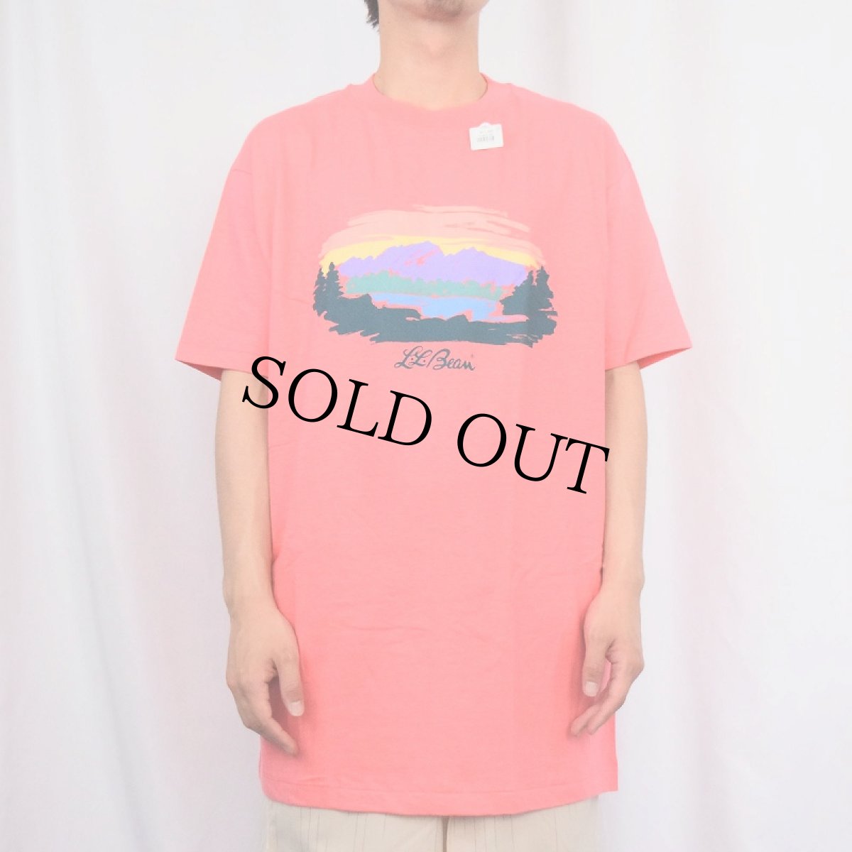 画像3: 【SALE】 90's L.L.Bean by Hanes USA製 ロゴプリントTシャツ XL DEADSTOCK (3)