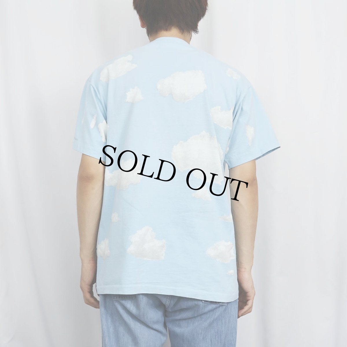 画像4: 90's Rene Magritte USA製 "THE ART INSTITUTE OF CHICAGO" アートプリントTシャツ L (4)