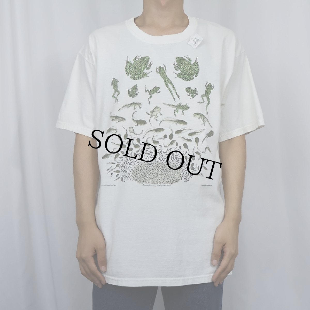 画像2: 90's〜 LIBERTY GRAPHICS "Diana Dee Tyler" USA製 カエルイラストプリントTシャツ L (2)