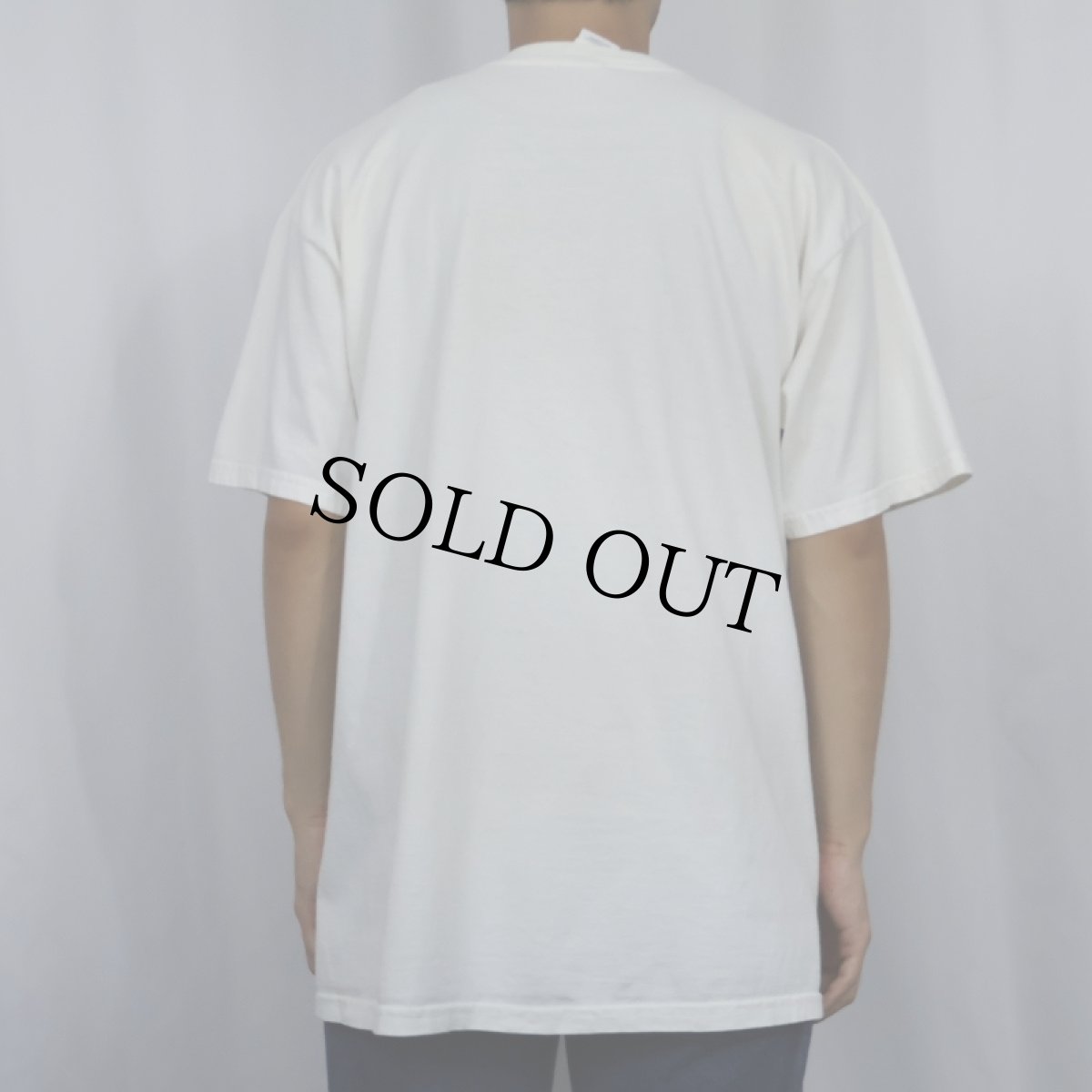 画像3: 90's〜 LIBERTY GRAPHICS "Diana Dee Tyler" USA製 カエルイラストプリントTシャツ L (3)