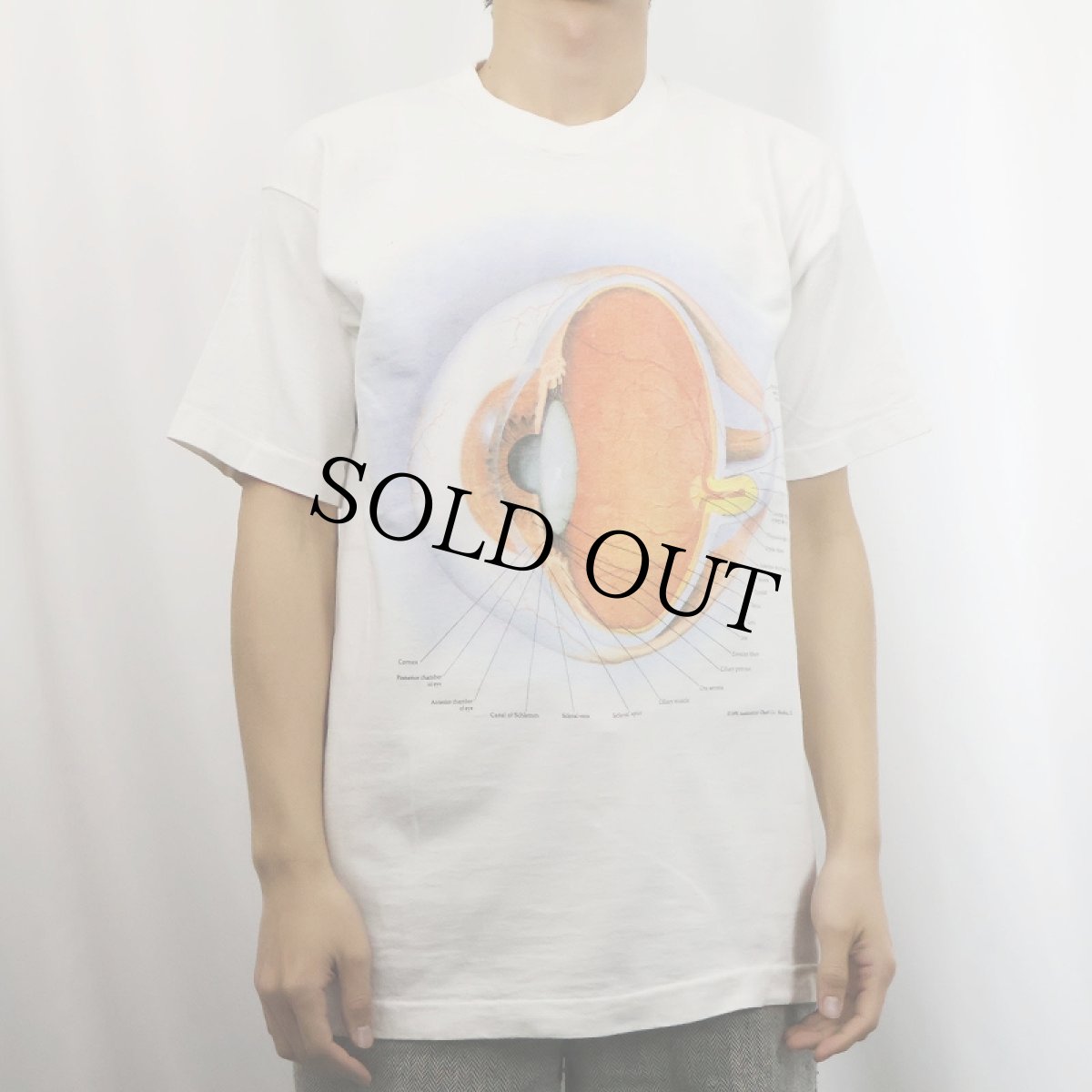 画像2: 90's Anatomical Chart Co. USA製 "Eyes" 人体図プリントTシャツ L (2)
