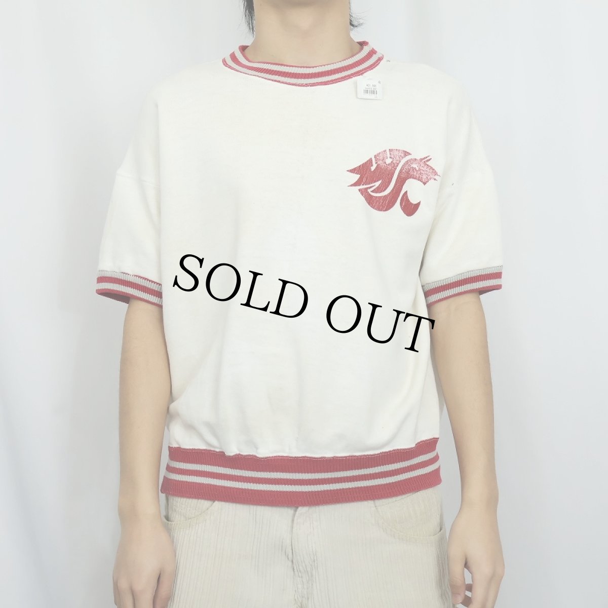 画像2: 60's Champion 大文字ランタグ USA製 "Cougars" プリント半袖スウェット L (2)