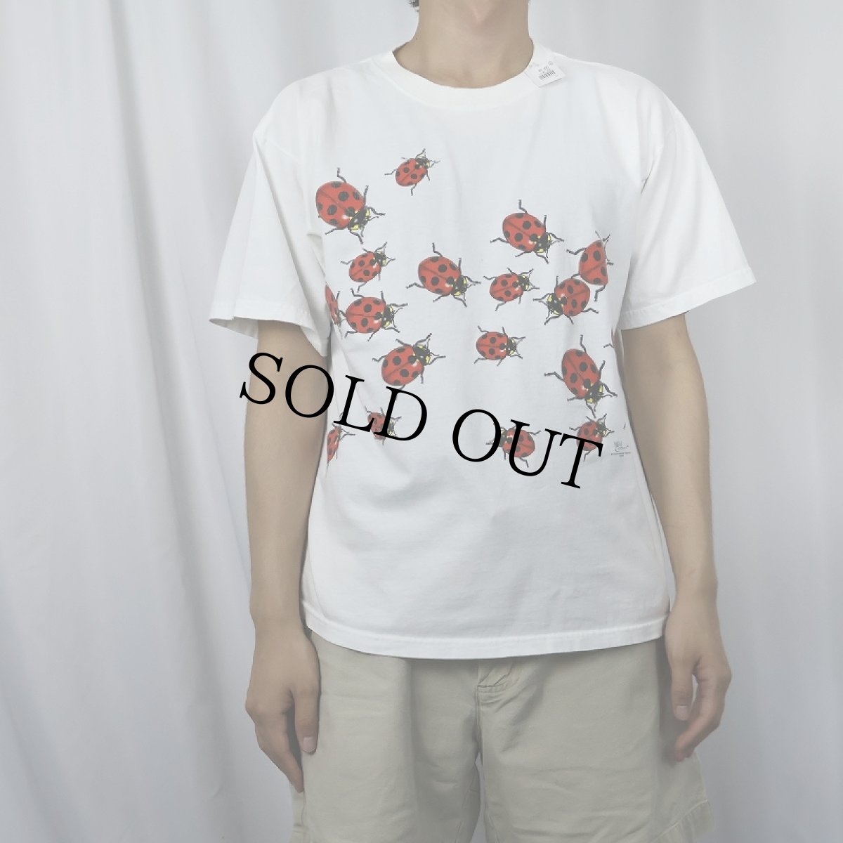 画像2: 90's〜 Wild Cotton てんとう虫柄 プリントTシャツ M (2)