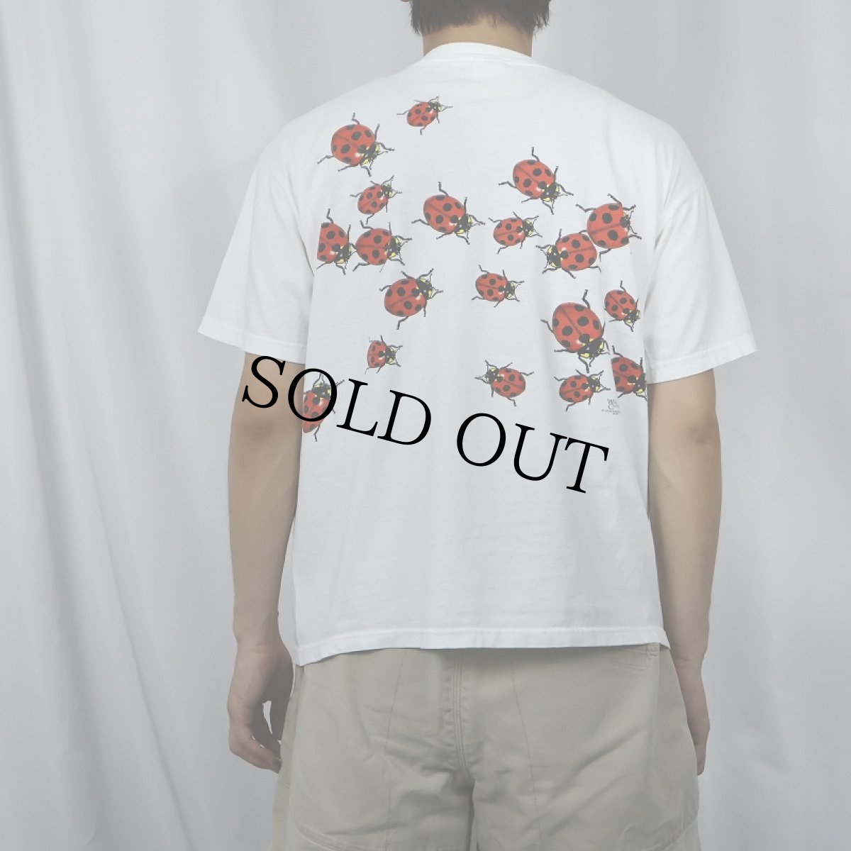 画像3: 90's〜 Wild Cotton てんとう虫柄 プリントTシャツ M (3)