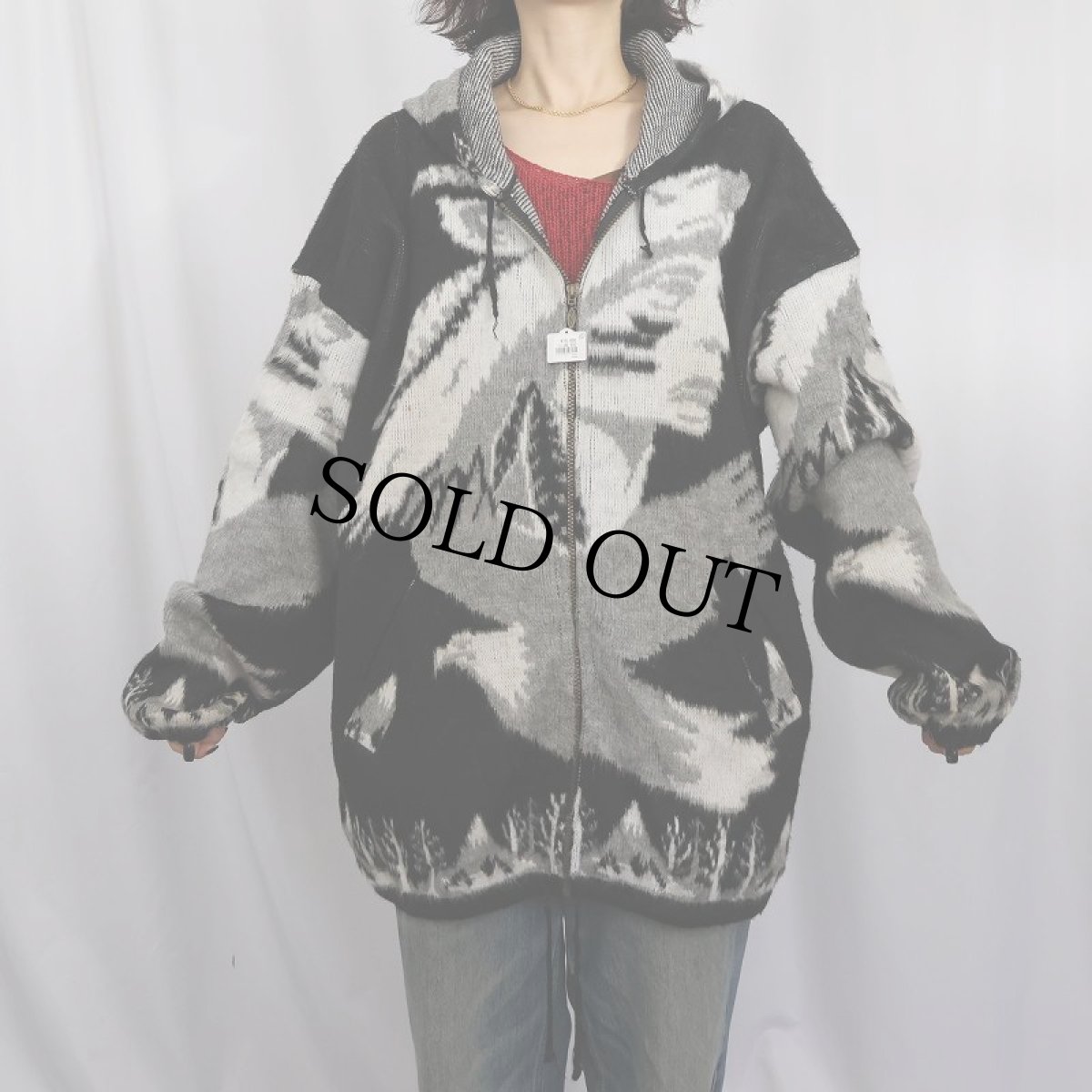 画像2: ARTESANIAS TUN TAQUIMBA ECUADOR製 インディアンヘッド柄 シャギーニットジップパーカー BLACK XL (2)