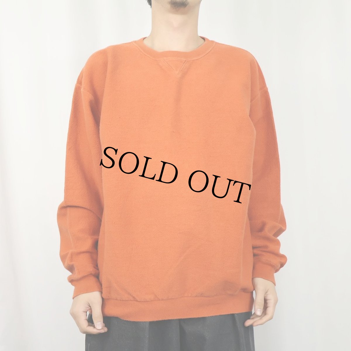 画像2: 90's LANDS'END USA製 前V 鹿の子スウェット L (2)