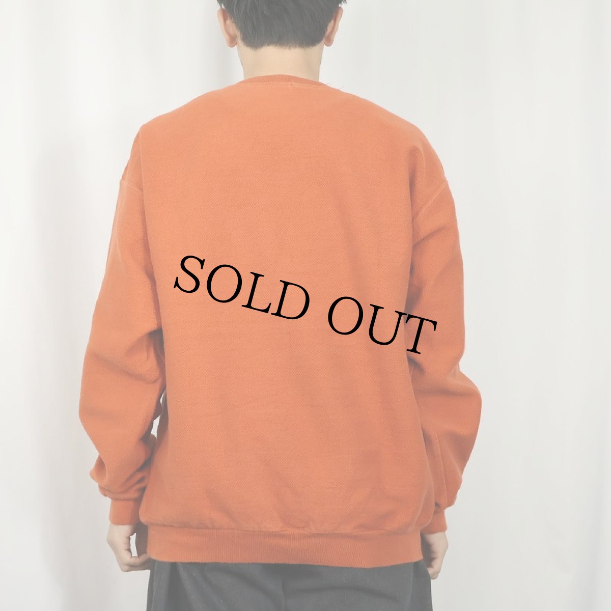 画像3: 90's LANDS'END USA製 前V 鹿の子スウェット L (3)