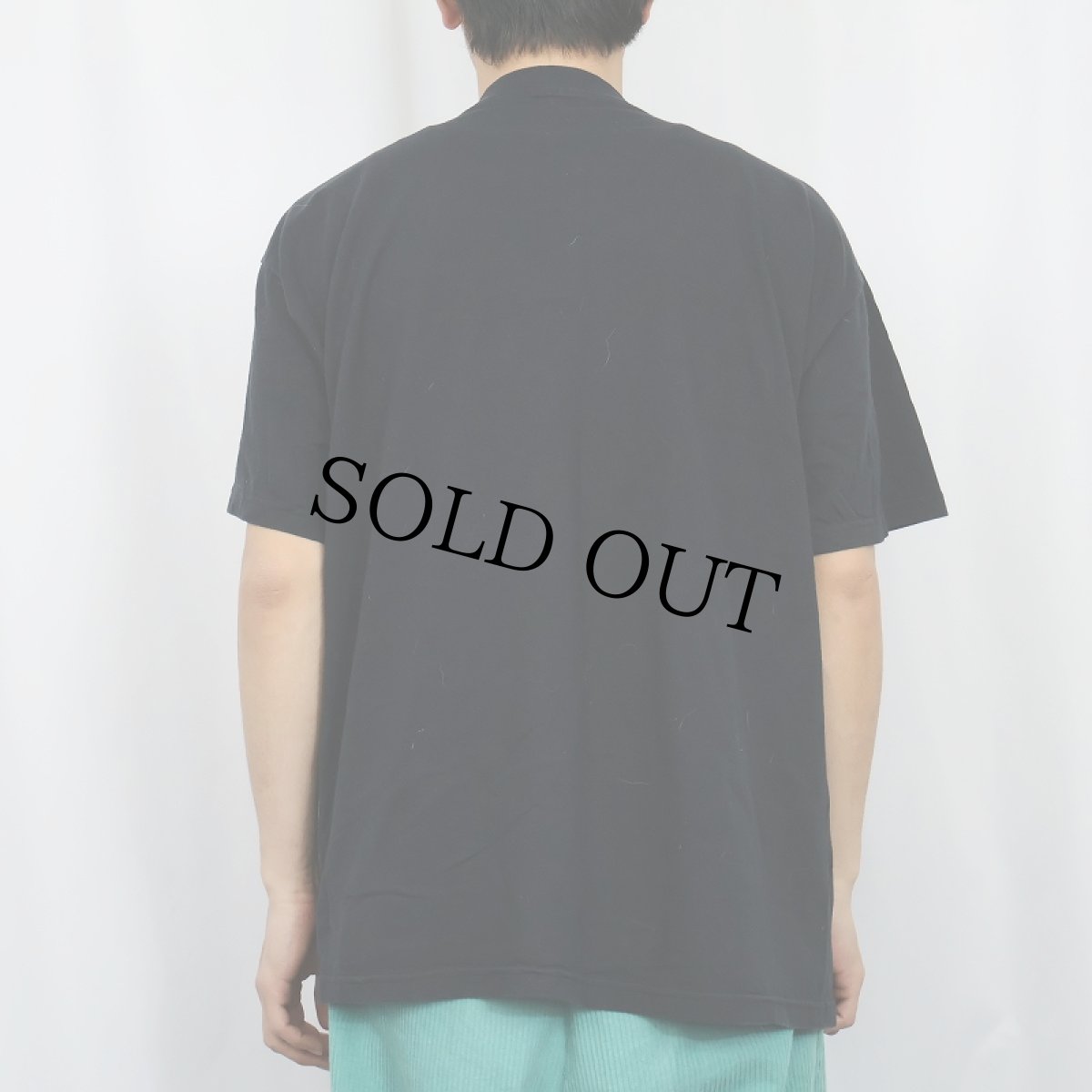 画像3: ANTI HERO SKATEBOADS ロゴプリントTシャツ BLACK (3)